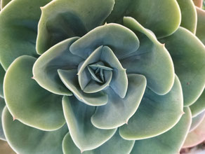 Systemische Aufstellung Kurs Luzern