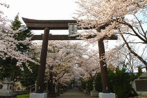 富士御室浅間神社画像