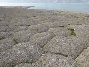 Sols polygonaux, archipel du Svalbard (photo ugo)