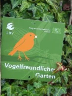 LBV Gartenjury mitmachen