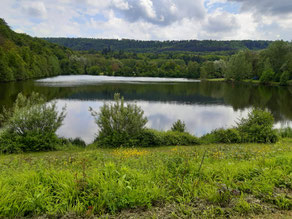 Morgendlicher Blick auf den Katzenbachsee