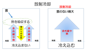 北米のオーロラ