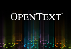 EKXEL IT Services Job Offer OpenText Solutions Architect 