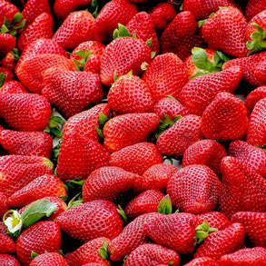 Fraises Fête des mères Ma Boulangerie Café