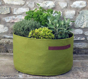 Vigoroot Pflanztasche für Kräuter, 45 cm im Durchmesser und 25 cm hoch.www.the-golden-rabbit.de