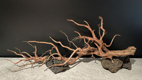 流木中サイズです！ GEX 天然流木 S | 水中生物用品・水槽用品 通販