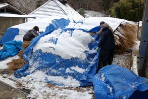 茅葺屋根の差し茅作業　雪を払いながら作業①