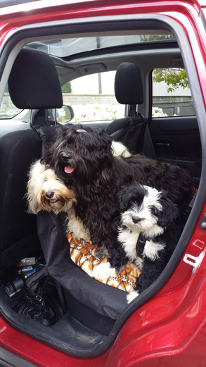 Fiona, Yeshi und Klein-Lisha