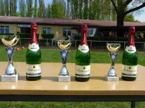 Pokale zum Spreefightercup 2013