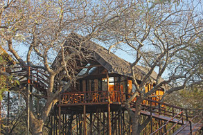 Afrique du Sud / Mozambique 