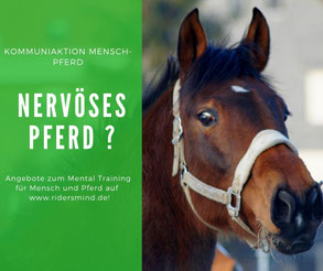 Hilfe beim Umgang mit nervösen Pferden