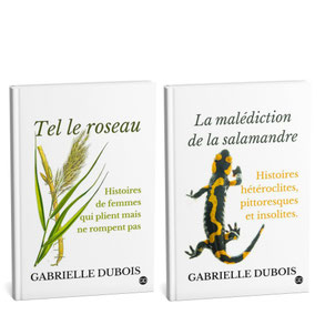 nouvelles gabrielle dubois, recueil nouvelles