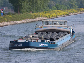 ms Aspasia