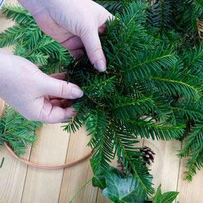 Collection bundles of evergreens for the winter wreath