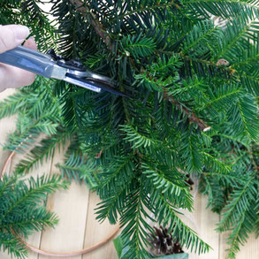 Cutting evergreens for for the DIY wreath