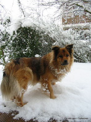 Olanda mit 14 Jahren!