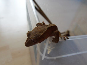 29.09.13