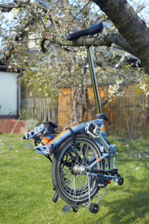 folded brompton hanging on a tree using the carryhook