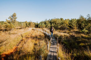 Vakantiehuisje Drenthe Plankenpad