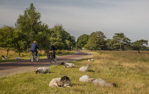 Vakantiehuisje Drenthe fietsen