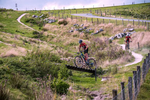 Vakantiehuisje Drenthe Mountainbike