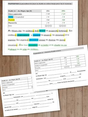 Orthographe Dictées Picot Grammaire Méthode Picot Correction CE2 CM1 cycle 2 cycle 3