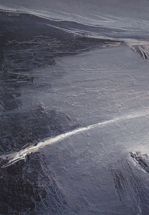 Peinture de la tangue en baie du Mont-Saint-Michelà l'apparence de schiste, en 2009