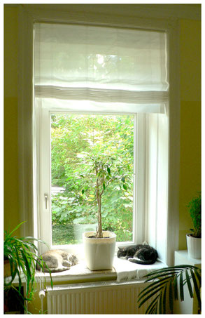Projekt Bahrenfeld Miezraum Raumdesign Fur Katzenfreunde