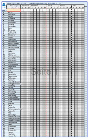 Excel-Erfassungsblatt zum herunterladen