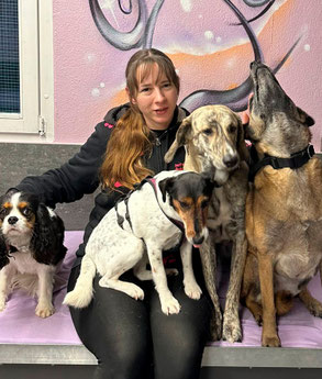 Hundehort Rudel-Treff im Team Lisa Trachsel, Tierpflegerin EFZ