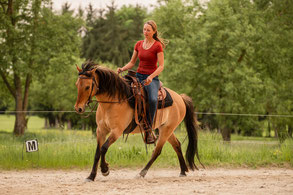 Reitunterricht im Ostallgäu (Weicht 86860), unweit von Kaufbeuren, Mindelheim und Memmingen. Individueller Reitunterricht für Erwachsene und Kinder, vom Anfänger bis zum Fortgeschrittenen, mit Fokus auf Partnerschaft und Sicherheit.