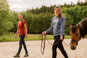 Bodenarbeit mit Pferd im Allgäu - Pferdetraining in Weicht 86860, zwischen Bad Wörishofen, Mindelheim und Kaufbeuren. Für mehr Vertrauen, Respekt und eine bessere Kommunikation zwischen Pferd und Mensch.
