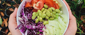 Präventionskurs: Feel Easy - gesunde Ernährung - Titelbild