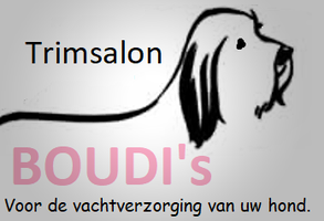 De website van boudis!