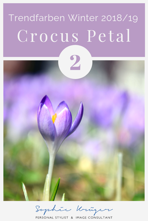 Crocus Petal - kalte Trendfarbe für den Sommertyp