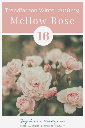 Mellow Rose - kühler Rosaton für den Sommertyp