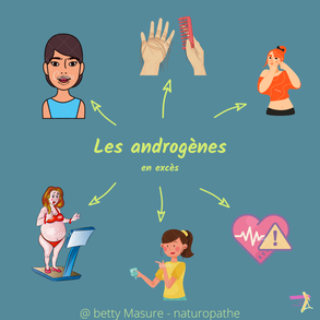 androgènes