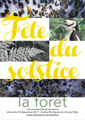 flyer de la fête du solstice 2017