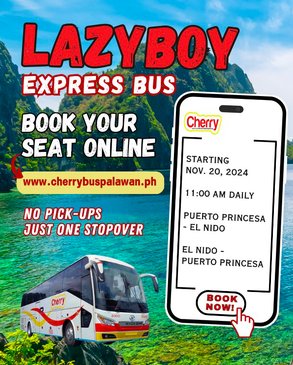 Express bus from puerto princesa to el nido