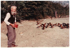 Bild: Alfred Muntau und seine Buschhühner