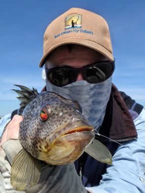 Spotted Bay Bass aka "Spottie" taken on the fly rod