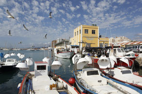 Fischerhafen Vinaros