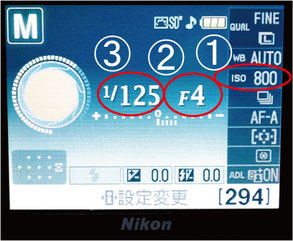 Nikon、カメラ;猫と人,nekotohito,ネコトヒト
