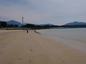 砂浜の写真