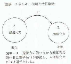 「活性酸素の話」より