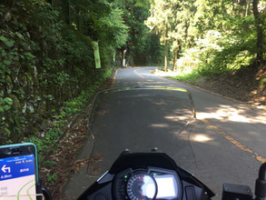 東秩父の山間緑が目に染みる