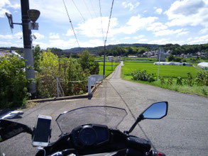 R308　田んぼの畦道ではない、れっきとした国道である