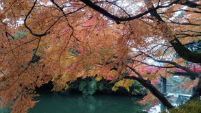 #Private tour Toyama Japan #Toyama tour guide #Toyama interpreter guide #Toyama English guide #Toyama day trip #Toyama sightseeing