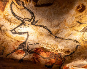 dictée bilan la grotte de lascaux cm1