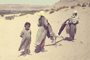 Weißstorch gefangen (Foto: Prof. Dr. Wilfried Haas)